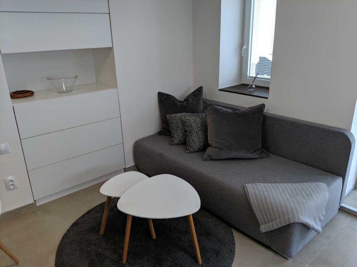 Ap10 - Apartments 4U Brezinova "Overnight Simply" Hradec Kralove Bagian luar foto